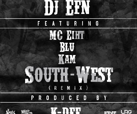 dj-efn-south-west-remix
