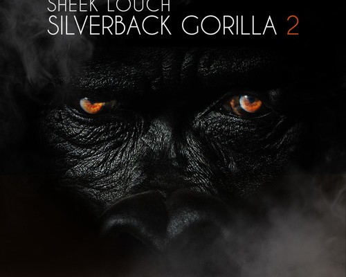sheek-louch-silverback-gorilla-2