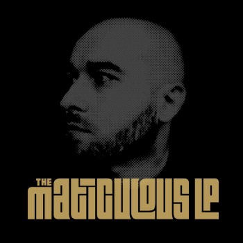 maticulousLP_cover