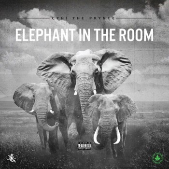 cyhi-the-prynce-elephant