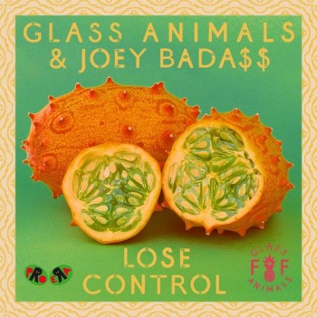 glass-animals-joey-lose-control