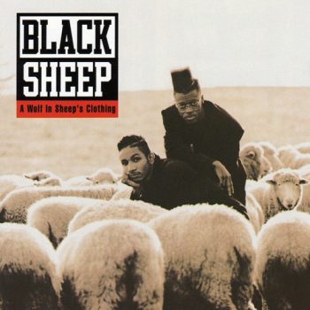 black-sheep-wolf