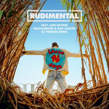 Rudimental (DJ Premier Remix Artwork)